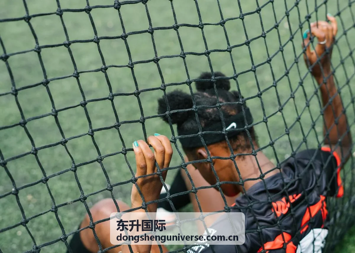 东升国际安全服务与验证提示