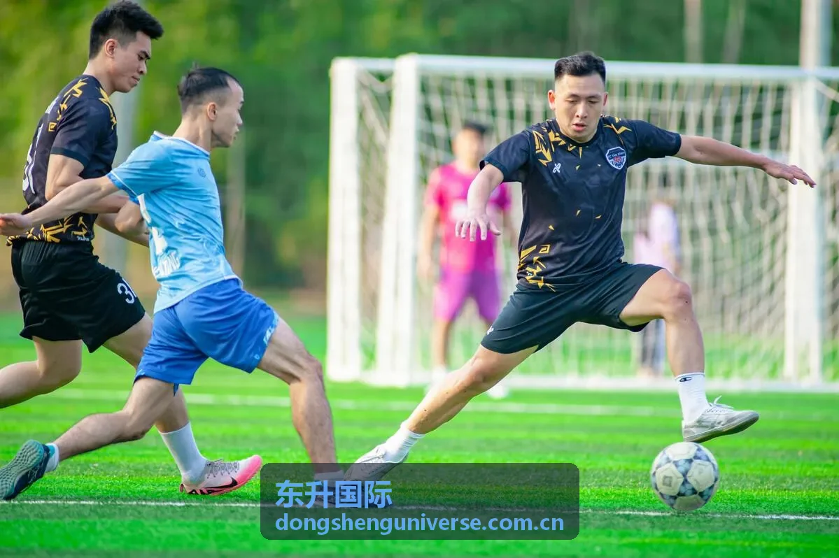 东升国际账号安全建议